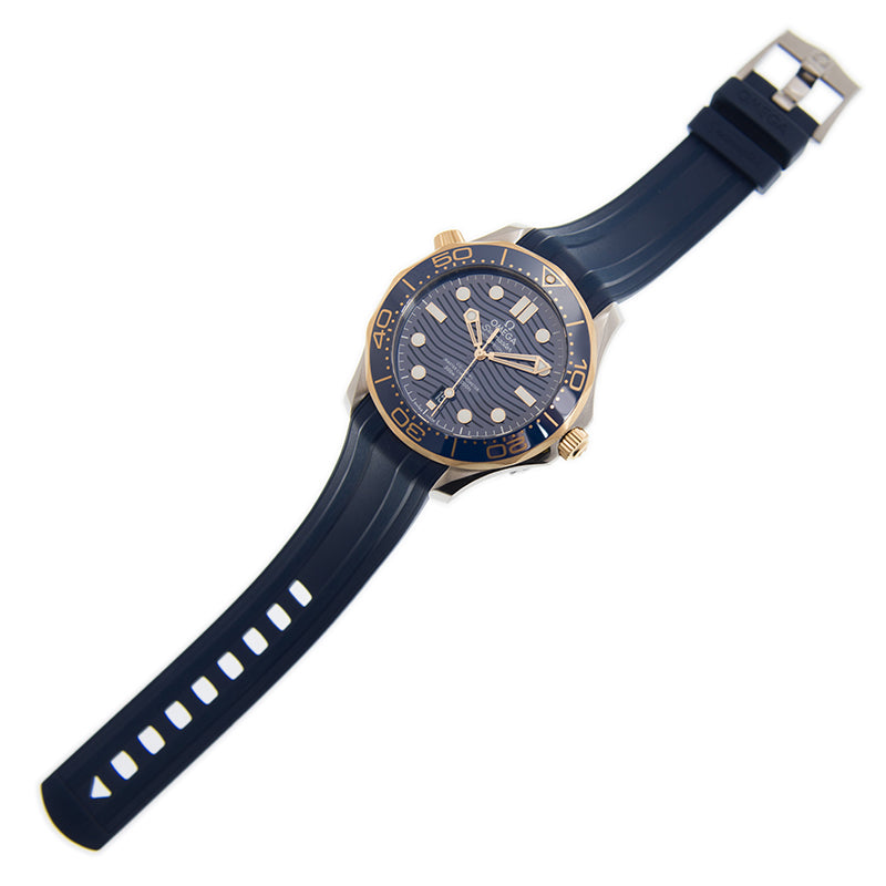 Automatic Watch for SEAMASTER 210.22.42.20.03.001 42MM